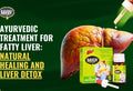 Savliv an Ayurvedic Treatment for Fatty Liver: Natural Healing and Liver Detox