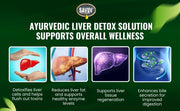 How Savliv Ayurvedic liver detox solution supports overall wellness